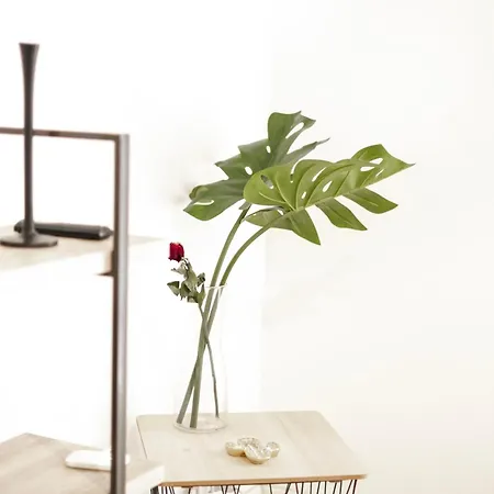 L'host Centro Apartment *